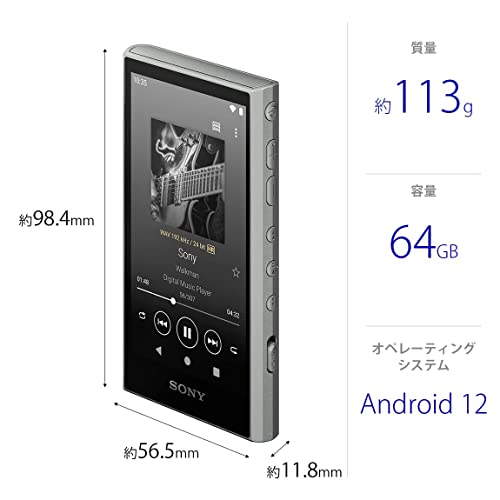 SONY Walkman NW - A307 64GB A300 Series Hi - Res Wireless MP3 Player Gray - WAFUU JAPAN