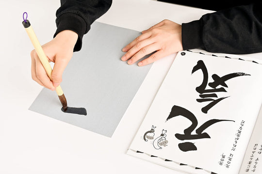 SOUUN TAKEDA Water Writable Japanese Shuji Calligraphy: Hiragana and Kanji - WAFUU JAPAN