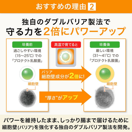 Suntory Prodia Protect Lactobacillus Vitamin B Supplement 90 Capsules - WAFUU JAPAN