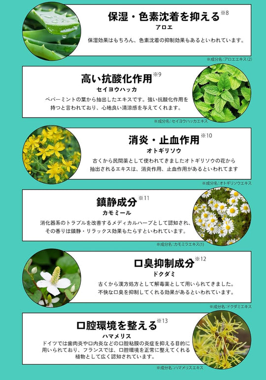 SWAG Herbal Whitening Toothpaste Super Mint Breath Care 100g Xylitol - WAFUU JAPAN