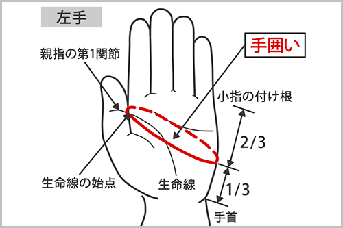 Mizuno Monogram M Left-hand Glove (Synthetic Leather)