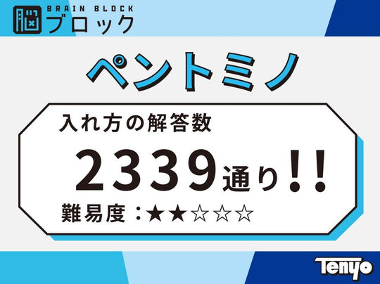Tenyo Pentomino Brain Block Puzzle Level 2 Beginner to Intermediate TBB - 02 - WAFUU JAPAN