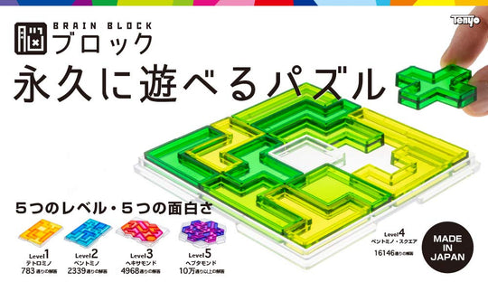 Tenyo Pentomino Brain Block Puzzle Level 2 Beginner to Intermediate TBB - 02 - WAFUU JAPAN