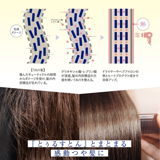 Truest by S free Acid Heat TR Hair Mask - WAFUU JAPAN