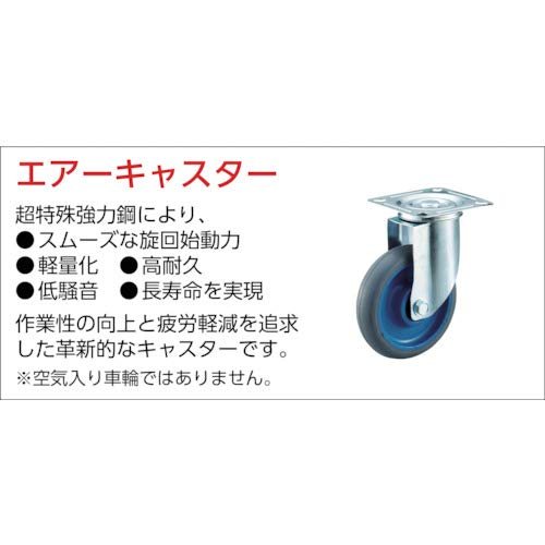 TRUSCO Cartio Big large plastic platform cart Blue 900x620 Fixed handle MPK900B - WAFUU JAPAN