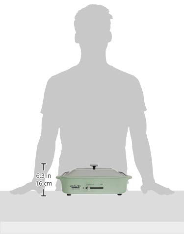 W11 SALE APIX Multi Hot Plate Retro Green (FSKP - 9919) AC100V - WAFUU JAPAN