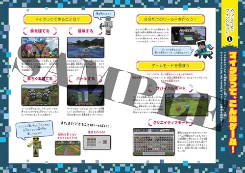 Water Challenge Official Fan Book - WAFUU JAPAN