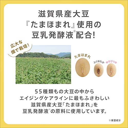 Wrinkle Sheet Mask N 20 sheets soymilk isoflavone - WAFUU JAPAN