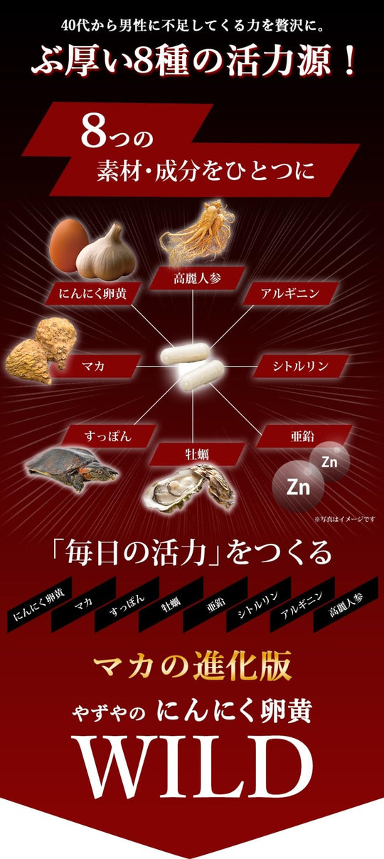 YAZUYA Garlic egg yolk WILD Maca Suppon Zinc Oyster 310mg - WAFUU JAPAN