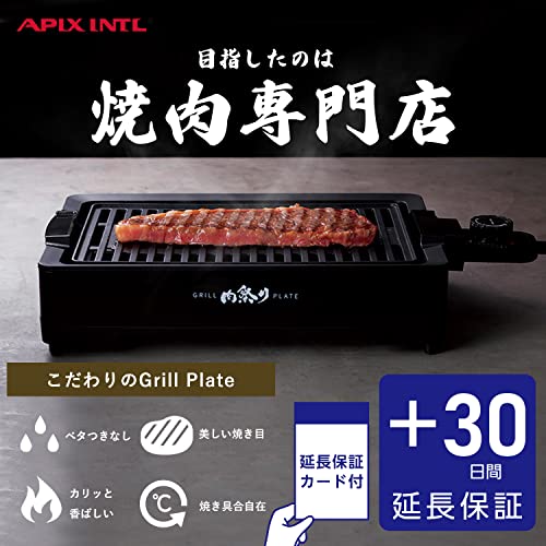 APIX INTL Yakiniku Plate Smokeless AGP-230 100 - WAFUU JAPAN