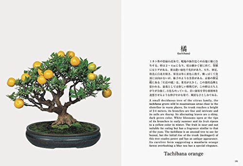 Bonsai New Edition with English Translation - WAFUU JAPAN