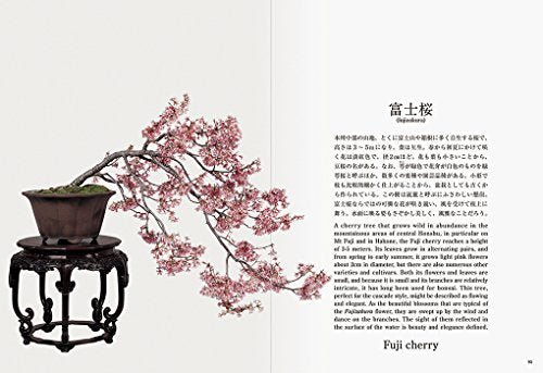 Bonsai New Edition with English Translation - WAFUU JAPAN