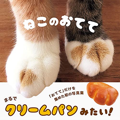 Cat Paws Books - WAFUU JAPAN