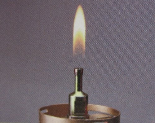 Coleman Lumiere Lantern 205588 - WAFUU JAPAN