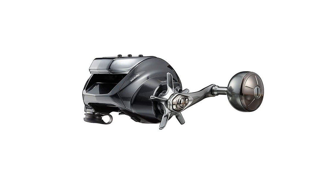 Daiwa 21 SEABORG 300JL Electric Reel – WAFUU JAPAN