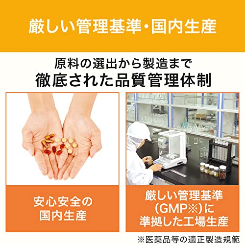 DHC Multivitamin for 90 days - WAFUU JAPAN