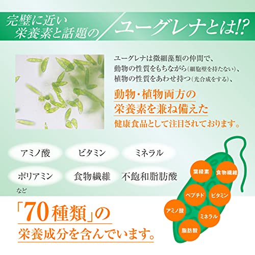 Dr.Watanabe Smart Slim Euglena Lactobacillus Supervised plant probiotics 60pcs - WAFUU JAPAN
