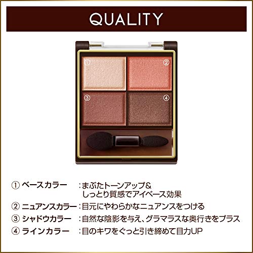excel Skinny Rich Shadow SR11 (Brick Brown) Palette Eye Shadow - WAFUU JAPAN