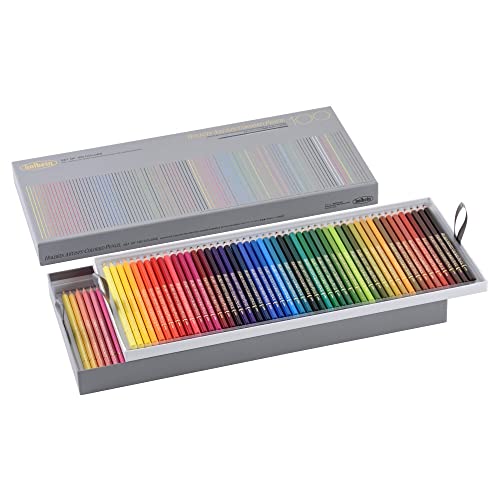 Holbein : Artists' Coloured Pencil : Design Tones Set of 12