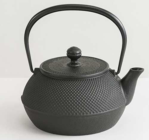 Cast Iron Teapot Tetsubin Tea Kettle Nambu Tekki