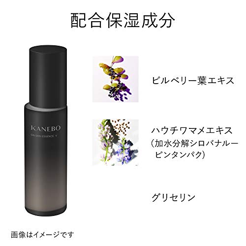 KANEBO On Skin Essence V Face Lotion 100ml – WAFUU JAPAN