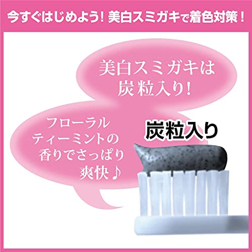 Kobayashi Sumigaki Charclean Charcoal Toothpaste 90g - WAFUU JAPAN