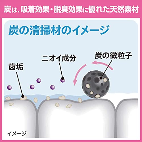 Kobayashi Sumigaki Charclean Charcoal Toothpaste 90g - WAFUU JAPAN