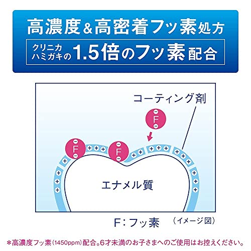 LION CLINICA Advantage Toothpaste Cool Mint 130g - WAFUU JAPAN