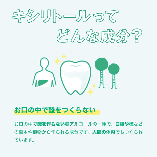 LOTTE XYLITOL Gum Fresh Mint Family Bottle 143g - WAFUU JAPAN