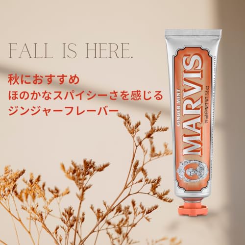 MARVIS Ginger Mint Toothpaste 75ml - WAFUU JAPAN