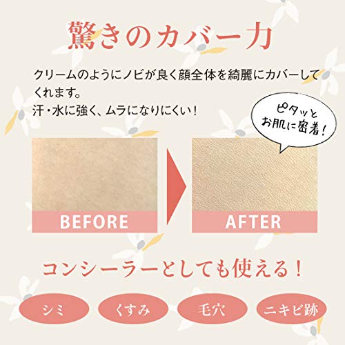 Meiko Cosmetics Naturactor Cover Face Concealer Foundation 20g - WAFUU JAPAN