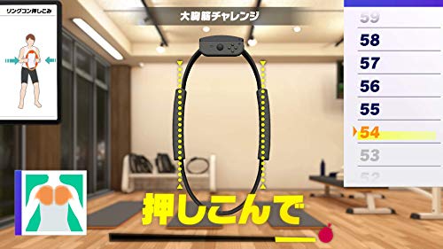 Nintendo Switch Ring Fit Adventure - WAFUU JAPAN