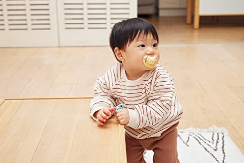 NUK Pacifier Star (with disinfection case) for 18-24 months OCNK2175636 - WAFUU JAPAN