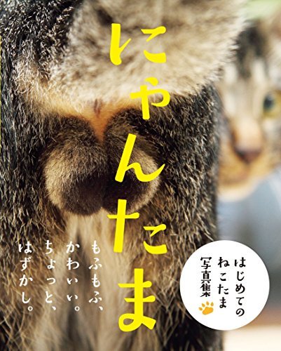 Nyantama Picture book mewing (cat) - WAFUU JAPAN