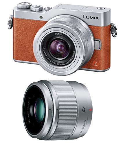 Panasonic MirrorLess Digital Camera LUMIX GF9 Double Zoom Lens Kit Orange - WAFUU JAPAN
