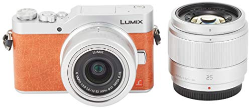 Panasonic MirrorLess Digital Camera LUMIX GF9 Double Zoom Lens Kit Orange - WAFUU JAPAN