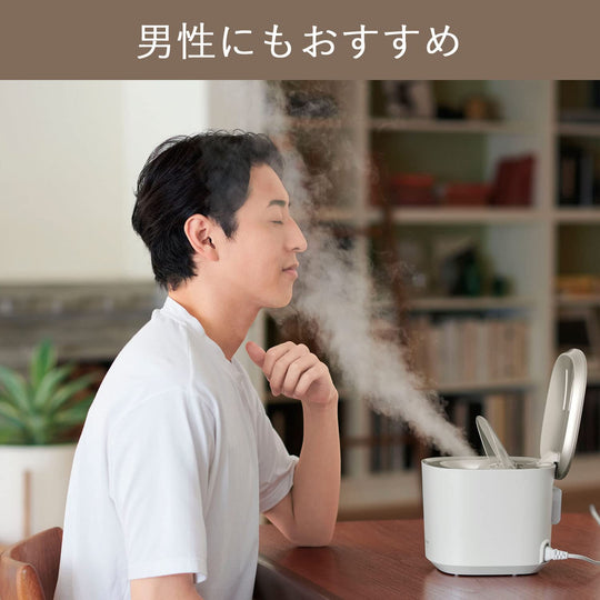 Panasonic Steamer Nanocare W heating/cooling esthetics type with lotion mist, gold tone EH-SA0B-N - WAFUU JAPAN