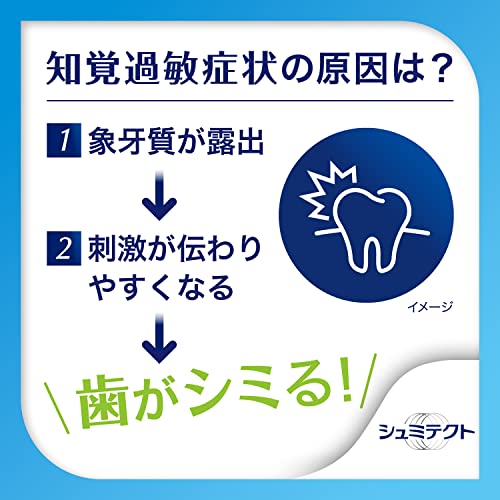 Schmictect Breath Fresh & Mouth Clean Toothpaste 1450ppm - WAFUU JAPAN