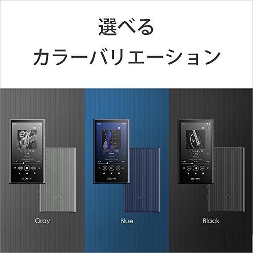 SONY Walkman 32GB A300 Series NW-A306 Blue LC : Wireless also Hi-Res Wireless / Streaming - WAFUU JAPAN