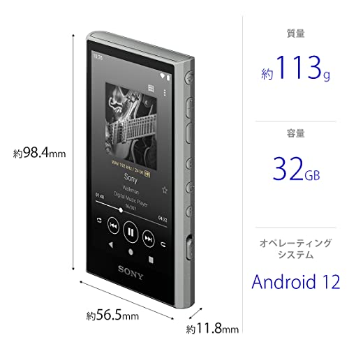 SONY Walkman 32GB A300 Series NW-A306 : Wireless also Hi-Res Wireless / Gray HC - WAFUU JAPAN