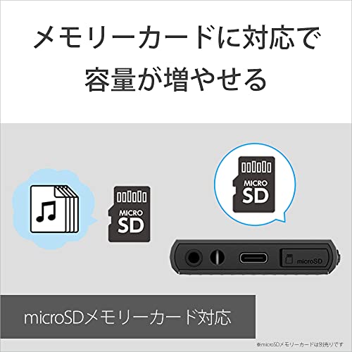 SONY WALKMAN 32GB Hi-Res A300 Series NW-A306 Audio Player Black - WAFUU JAPAN