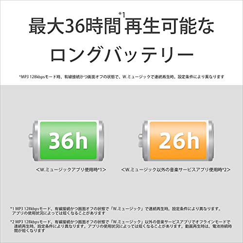 SONY WALKMAN 32GB Hi-Res A300 Series NW-A306 Audio Player Black - WAFUU JAPAN