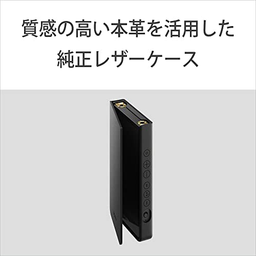 ソニー ウォークマン ZXシリーズ 64GB NW-ZX300 : Bluetooth/microSD