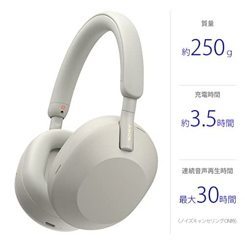SONY WH-1000XM5 SM Platinum Silver Wireless Headphones - WAFUU JAPAN