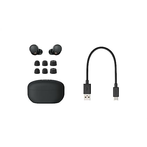 Sony Wireless Noise Canceling Earphone WF-1000XM5 – WAFUU JAPAN