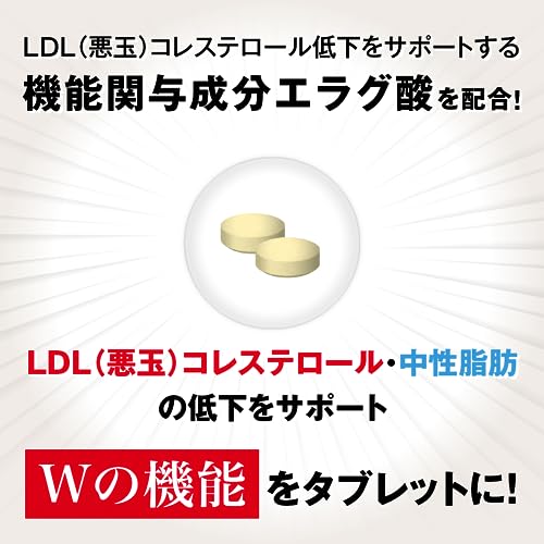 Taisho Pharmaceutical Cholesterol and neutral fat tablets - WAFUU JAPAN