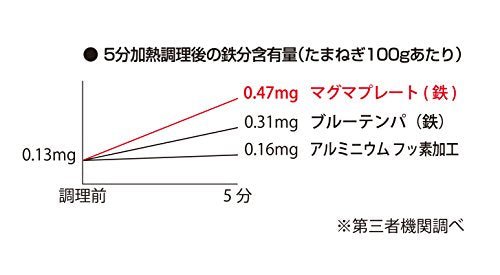 Takumi Japanese Frypot 30cm IH-compatible Magma Plate TAKUMIJAPAN Iron MGIT30P - WAFUU JAPAN