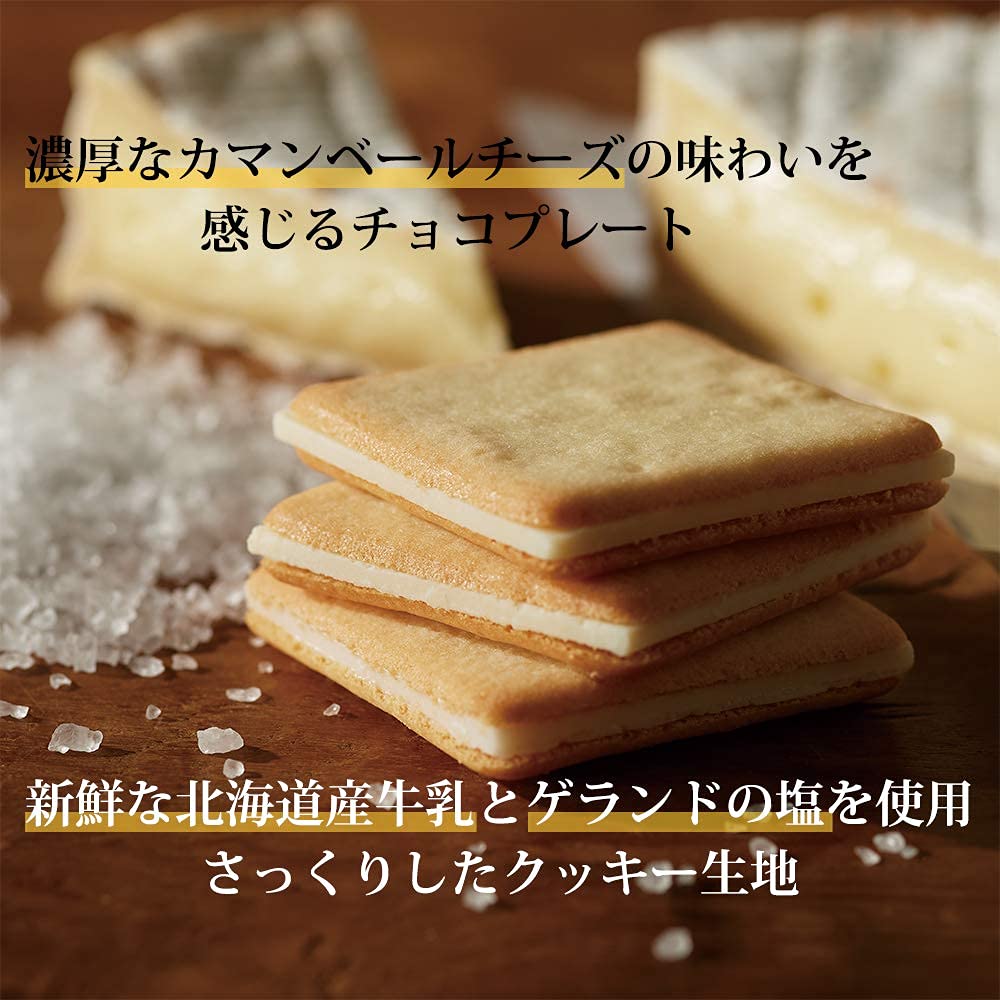 Tokyo Milk Cheese Factory Salt & Camembert Cookies 10pcs - WAFUU JAPAN