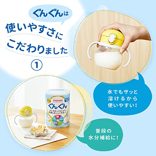 WAKODO Follow-up GunGun Milk Formula 830g 9months-3years - WAFUU JAPAN